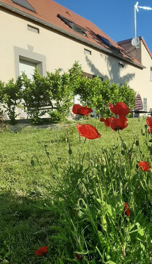 Le Feneau Maison D'Hotes Creuzier-le-Neuf Экстерьер фото